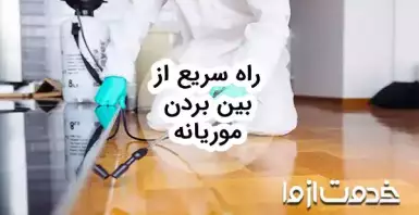 راه حل‌های سریع برای از بین بردن موریانه در خانه